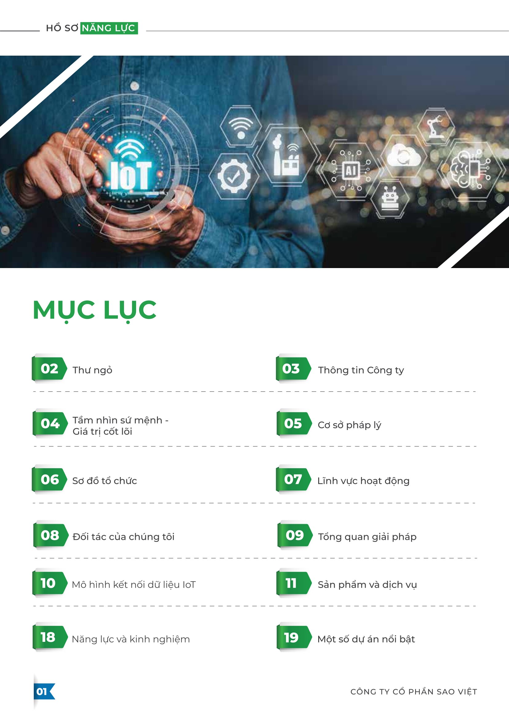 Hồ sơ năng lực Sao Việt - Trang 2
